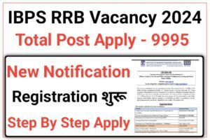 IBPS RRB Online Form 2024
