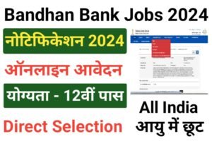 Bandhan Bank Executive Jobs 2024